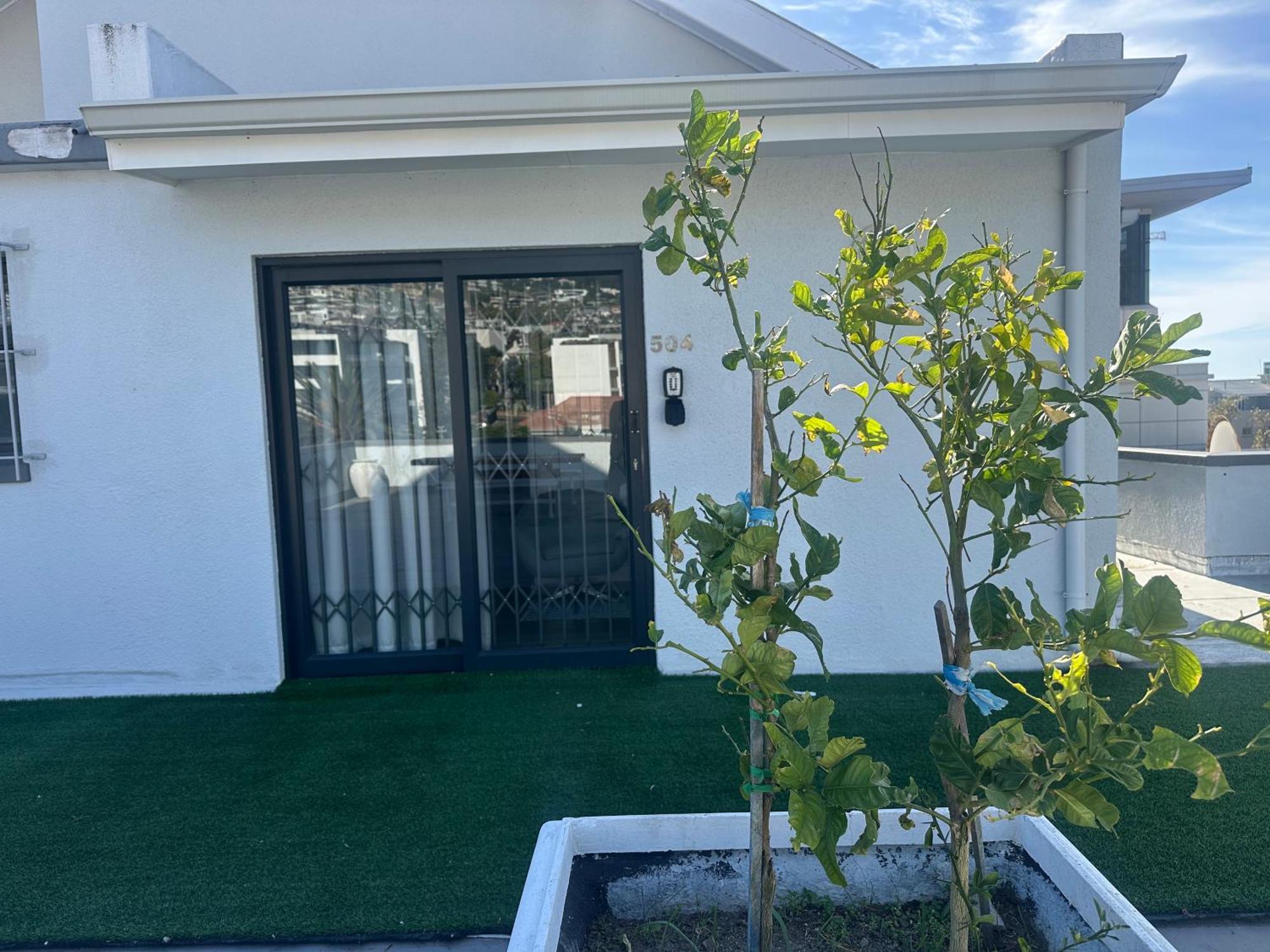 Camborne Holiday Apartments Cape Town Dış mekan fotoğraf